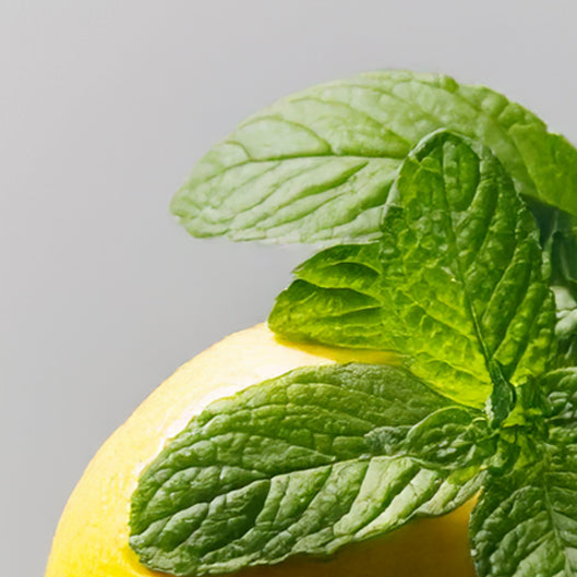 Mint Lemonade