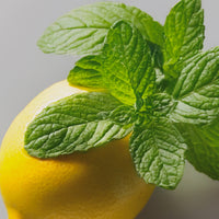 Magna | Magnesium Powered Electrolytes | Mint Lemonade