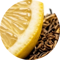 Magna Creatine Iced Tea Lemonade | 28 Count