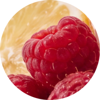 Magna Creatine Raspberry Lemonade | 28 Count