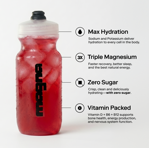 Raspberry Iced Tea | 28 Count